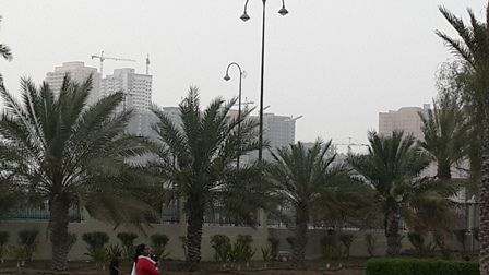 Ajman_EmiratesCity_GardenNearBy