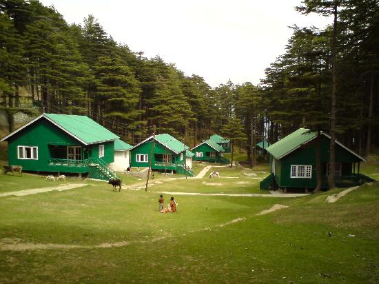 patniTop